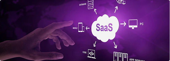 SaaS SEO